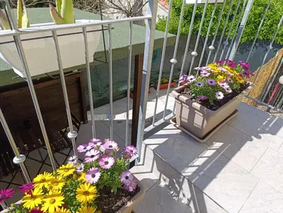 Balcone o terrazza di Alloggio La Goccia