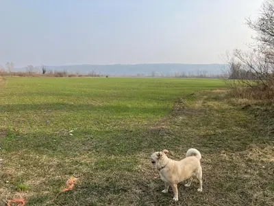 Paesaggio naturale nelle vicinanze dell'appartamento
