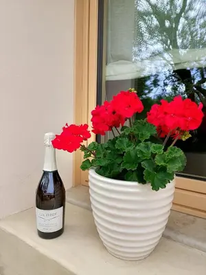 Planimetria di Casa Tormena