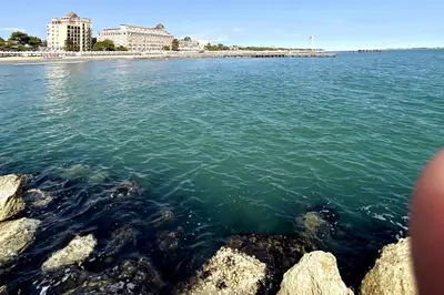 Paesaggio naturale nelle vicinanze dell'appartamento