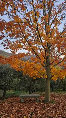 Paesaggio naturale nelle vicinanze del bed & breakfast