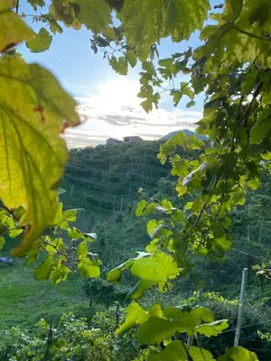 Paesaggio naturale nelle vicinanze dell'appartamento
