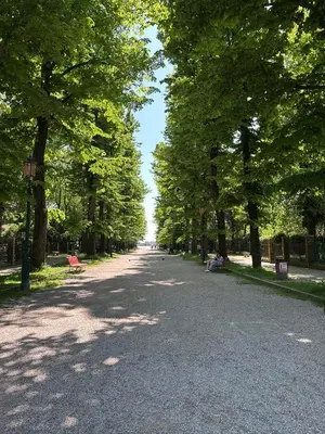 Planimetria di Ca' Elena beautiful canal view Biennale