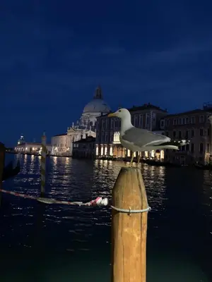 Paesaggio naturale nelle vicinanze dell'appartamento