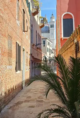 Il quartiere o una zona nella vicinanze dell'hotel
