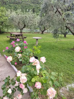 Giardino di Bed and breakfast santa felicita