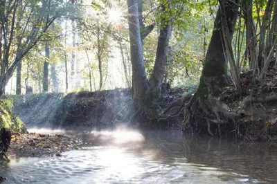 Paesaggio naturale nelle vicinanze dell'appartamento