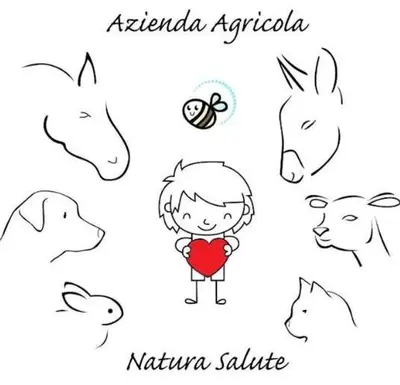 Altri animali domestici presso l'agriturismo o nei dintorni