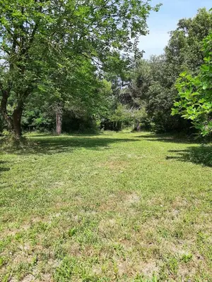 Giardino di Accommodation in Sant'Erasmo Venice 3