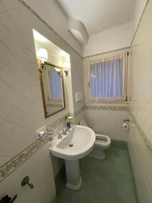 Bagno di Ritz Venice Guest House Lionsclass