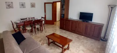 TV o dispositivi per l'intrattenimento presso Elisa Apartment 12 minutes from Venice, free Wi-Fi included