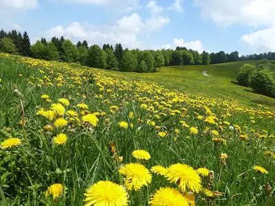 Paesaggio naturale nelle vicinanze della casa vacanze