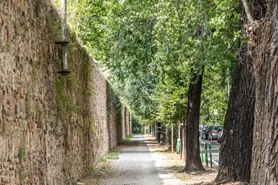 Planimetria di Modern Apartment in Villa with Garden - Easy Parking