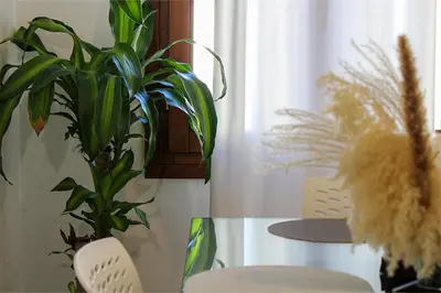 Planimetria di DGA Loft