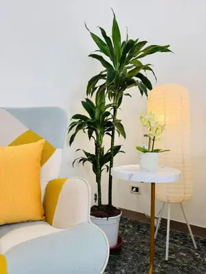 Area soggiorno di Casa Kevin, Venice Mestre车站整套公寓