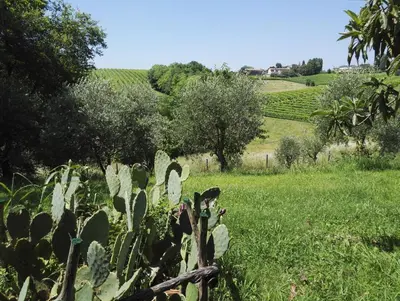 Paesaggio naturale nelle vicinanze del bed & breakfast
