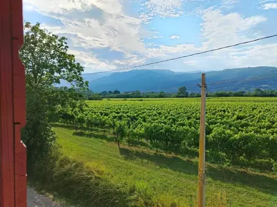 Paesaggio naturale nelle vicinanze dell'appartamento