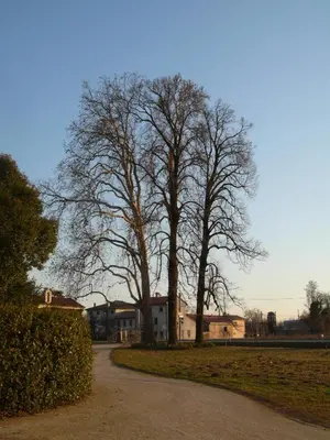 Planimetria di B&B Giardino Jappelli (Villa Ca' Minotto)