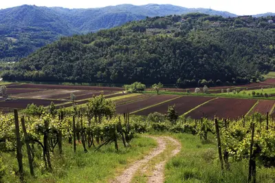 Paesaggio naturale nelle vicinanze dell'agriturismo
