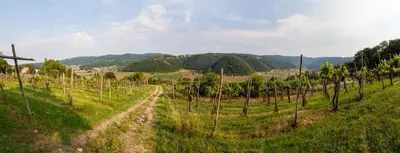 Paesaggio naturale nelle vicinanze dell'agriturismo