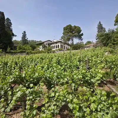 Fattoria Le Vegre