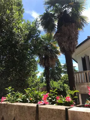 Giardino di Flat in the heart of Lido
