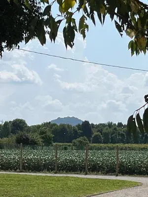 Paesaggio naturale nelle vicinanze della casa vacanze