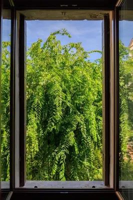 Giardino di Casa dell'Aviatore con terrazza sul giardino