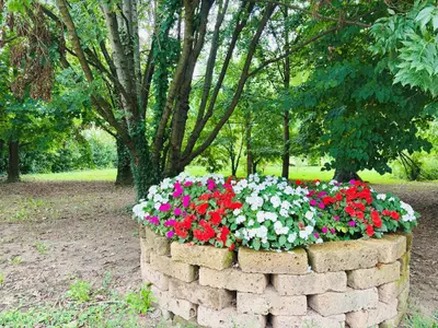 Giardino di Casa fiorita