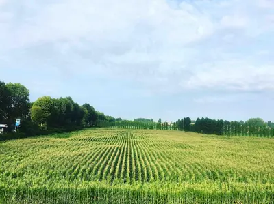 Paesaggio naturale nelle vicinanze dell'appartamento