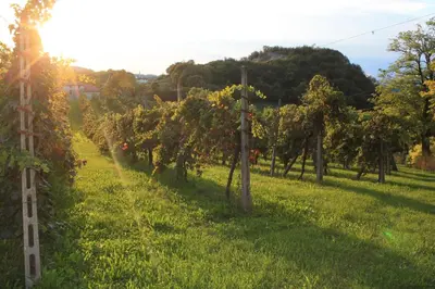 Paesaggio naturale nelle vicinanze del bed & breakfast