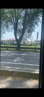 Planimetria di Ca Venice
