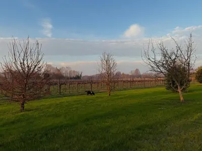 Paesaggio naturale nelle vicinanze del bed & breakfast