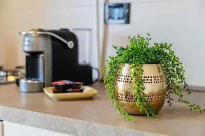 Cucina o angolo cottura di Padova Relax Station