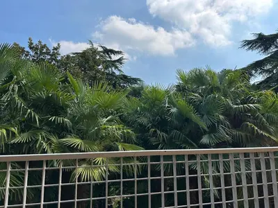 Giardino di Spacious 3 BDR Apartment in Padua