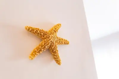 Planimetria di Appartamento Stella Marina