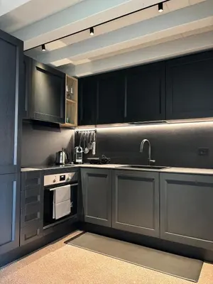 Cucina o angolo cottura di The Lotus Flower Stylish Renovated Apt in Venice