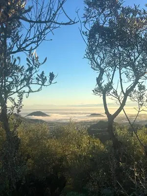 Paesaggio naturale nelle vicinanze dell'affittacamere