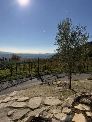 Paesaggio naturale nelle vicinanze dell'appartamento