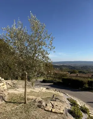Paesaggio naturale nelle vicinanze dell'appartamento