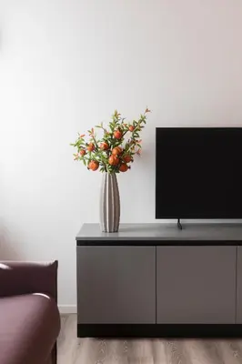 TV o dispositivi per l'intrattenimento presso Vicenza Green Stay Melograno