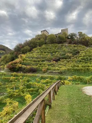Paesaggio naturale nelle vicinanze della casa vacanze