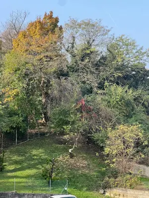 Paesaggio naturale nelle vicinanze dell'appartamento