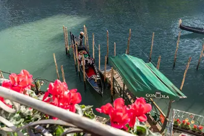 Vista sul fiume nelle vicinanze dell'appartamento