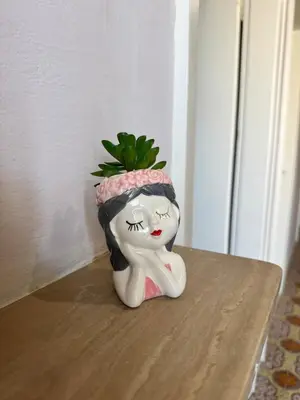 Planimetria di Casa Toè da Guido
