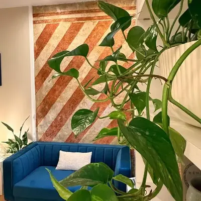 Portico 33