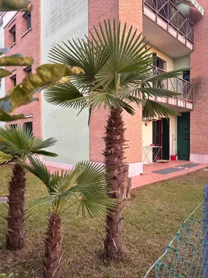 Edificio in cui si trova l'appartamento