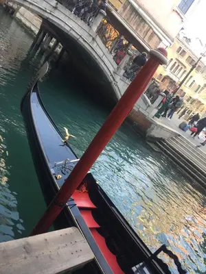 Vista sul fiume nelle vicinanze dell'appartamento