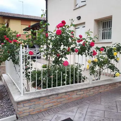 Giardino di B&B Al sogno di Laura