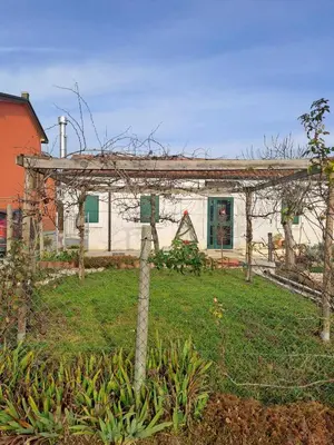 Giardino di a casa di nonna Tarsilla-entire apartment,5 guests